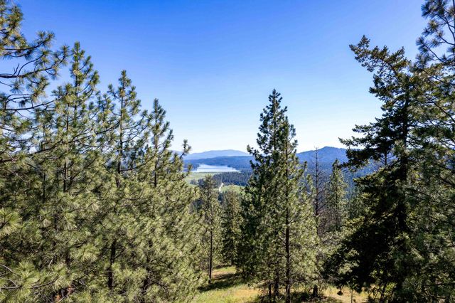xxx N Singing Hills Dr, Newman Lake, WA 99025