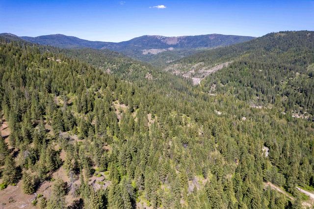 xxx N Singing Hills Dr, Newman Lake, WA 99025