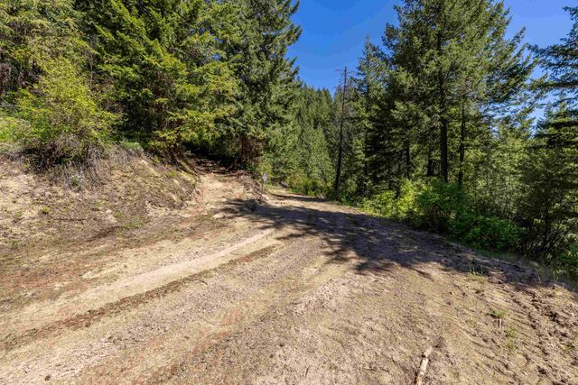 xxx N Singing Hills Dr, Newman Lake, WA 99025