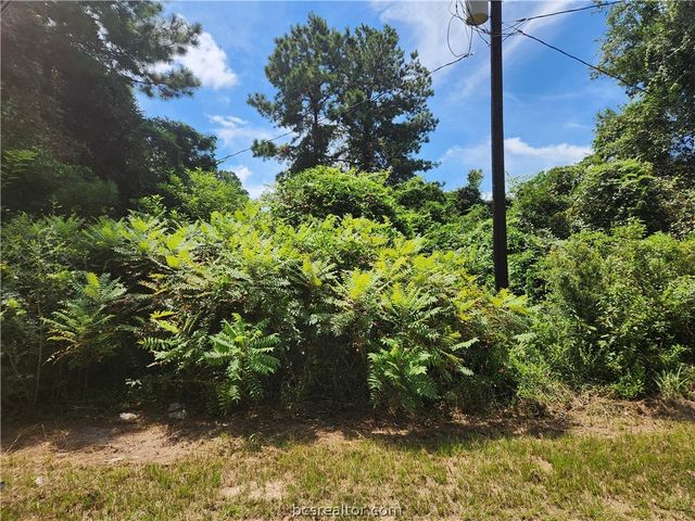Lot 26 Mayhaw Lane, Plantersville, TX 77363