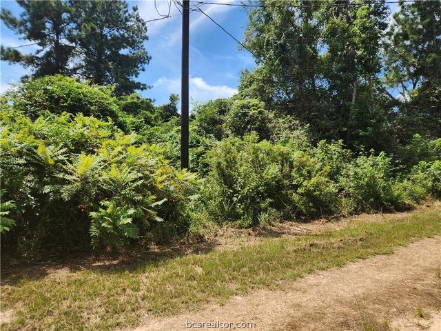 Lot 26 Mayhaw Lane, Plantersville, TX 77363