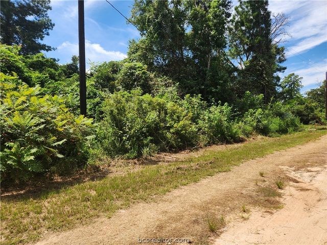 Lot 26 Mayhaw Lane, Plantersville, TX 77363