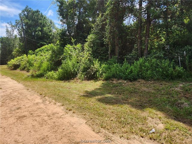 Lot 26 Mayhaw Lane, Plantersville, TX 77363