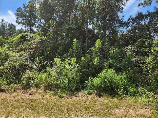 Lot 26 Mayhaw Lane, Plantersville, TX 77363
