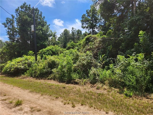 Lot 26 Mayhaw Lane, Plantersville, TX 77363