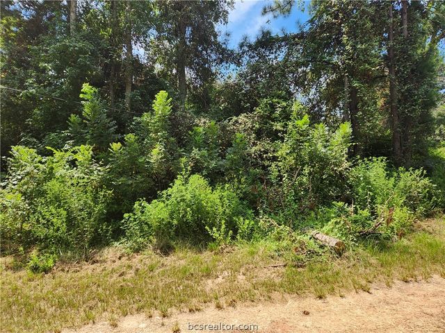 Lot 26 Mayhaw Lane, Plantersville, TX 77363
