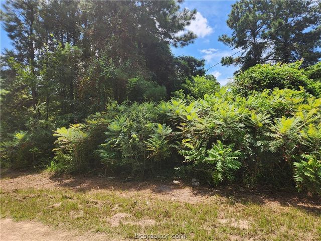 Lot 26 Mayhaw Lane, Plantersville, TX 77363
