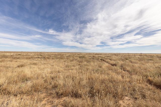 6510 County Rd 1100, Shallowater, TX 79363