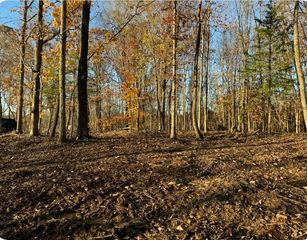 260 Lineport Rd, Bumpus Mills, TN 37028