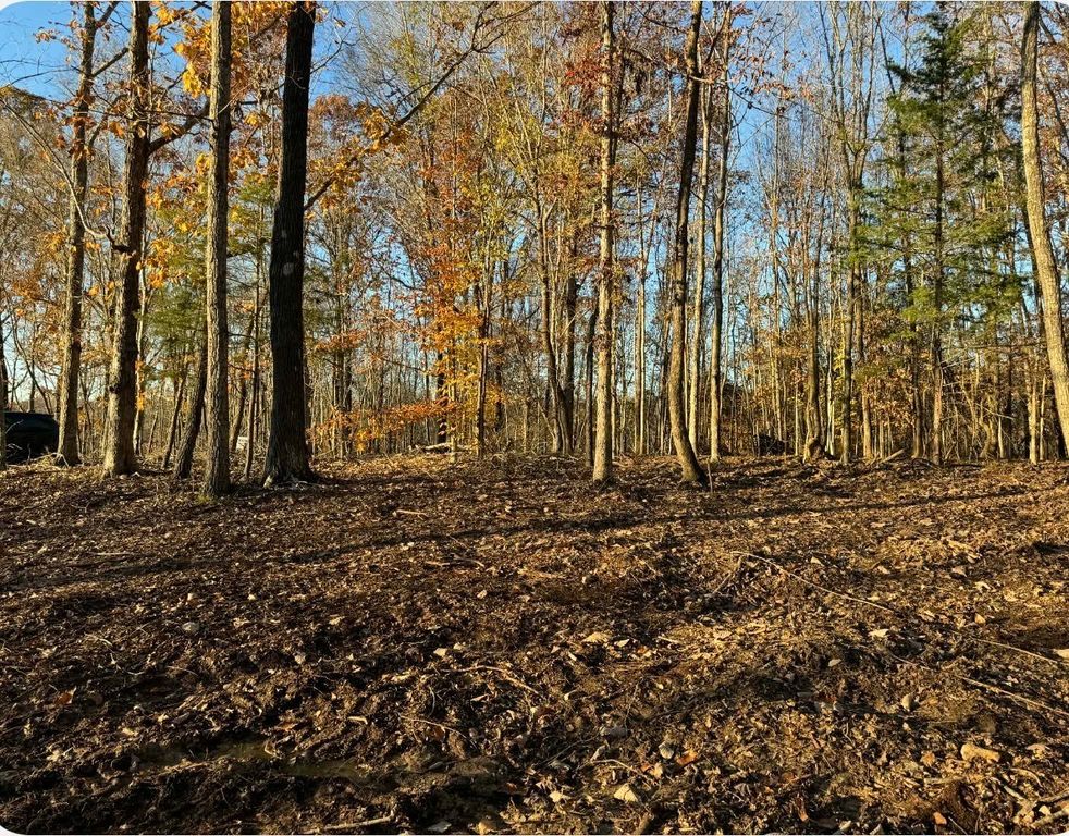 260 Lineport Rd, Bumpus Mills, TN 37028