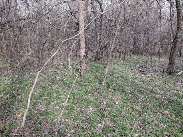 3926 Vista Oak, Royse City, TX 75189