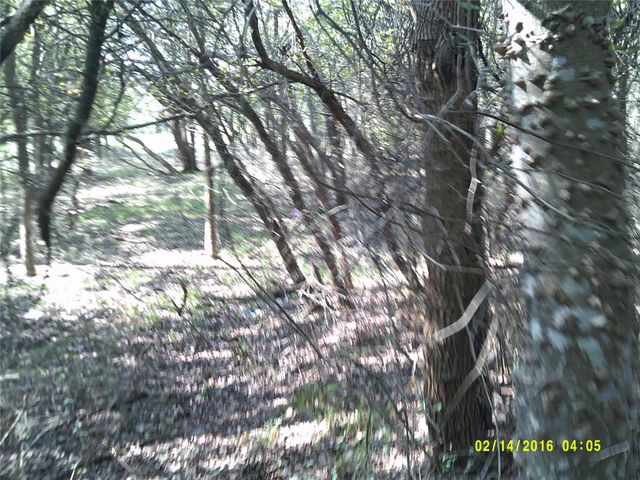 3926 Vista Oak, Royse City, TX 75189