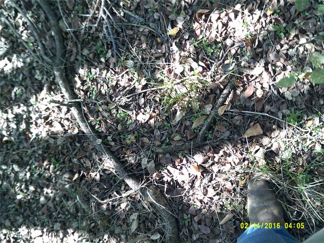 3926 Vista Oak, Royse City, TX 75189