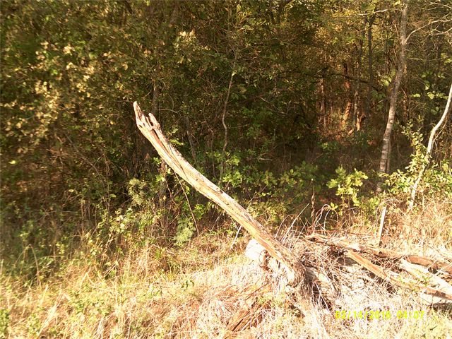 3926 Vista Oak, Royse City, TX 75189