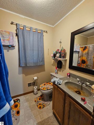 4464 E Wagner Road, Lake City, MI 49651