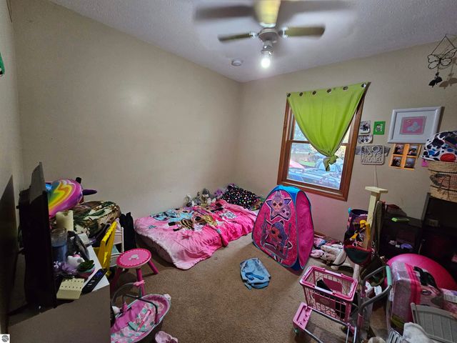 4464 E Wagner Road, Lake City, MI 49651