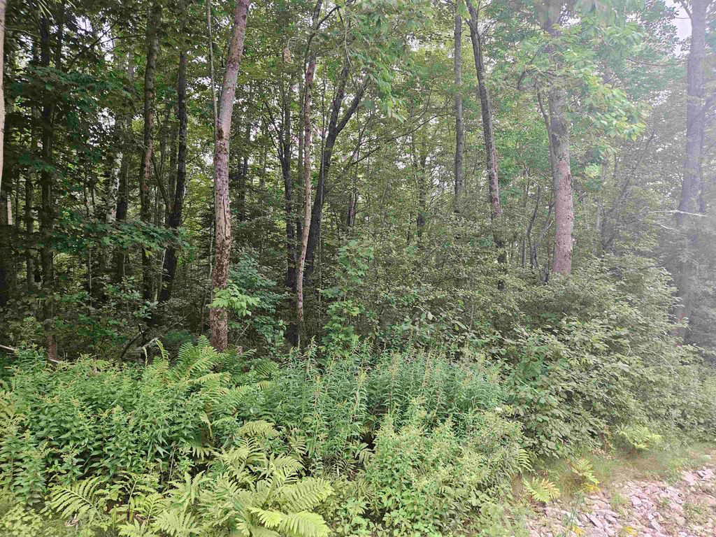 Lot 36 & 37 Agassiz Street, Bethlehem, NH 03574