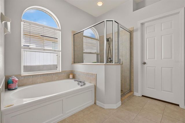 30524 LANESBOROUGH CIRCLE, Wesley Chapel, FL 33543