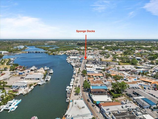 110 PARKSIDE COLONY DRIVE, Tarpon Springs, FL 34689