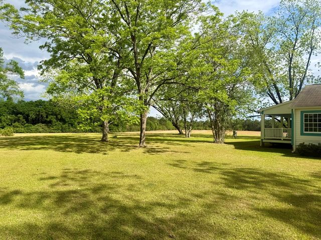 1046 Antioch Circle, Hartford, AL 36344