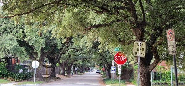 1621 California Street, Houston, TX 77006