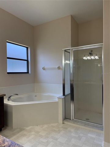 713 BRIDGEFORD CROSSING BOULEVARD, Davenport, FL 33837