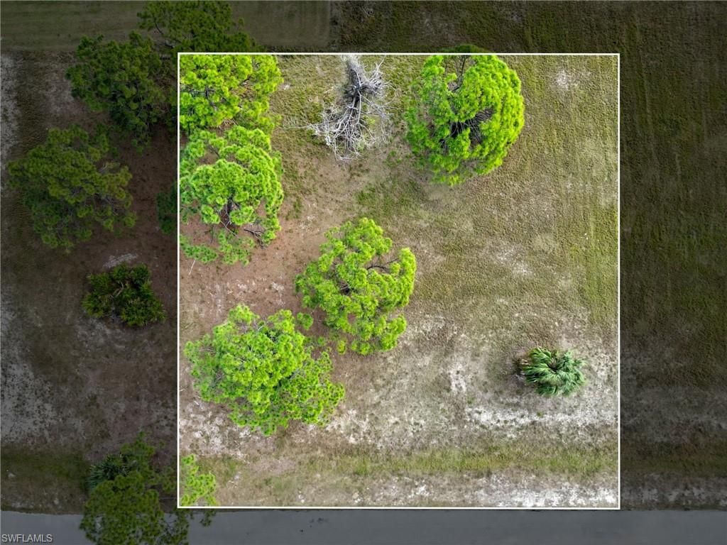 1653 36th AVE, CAPE CORAL, FL 33993 — photo 3