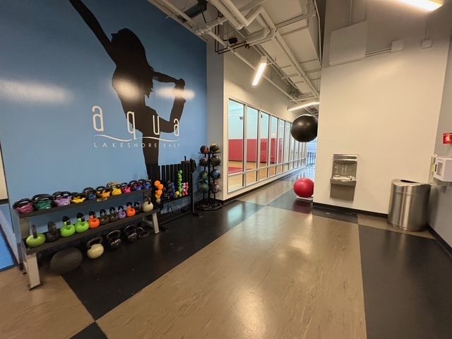 225 N Columbus Drive 7201, Chicago, IL 60601