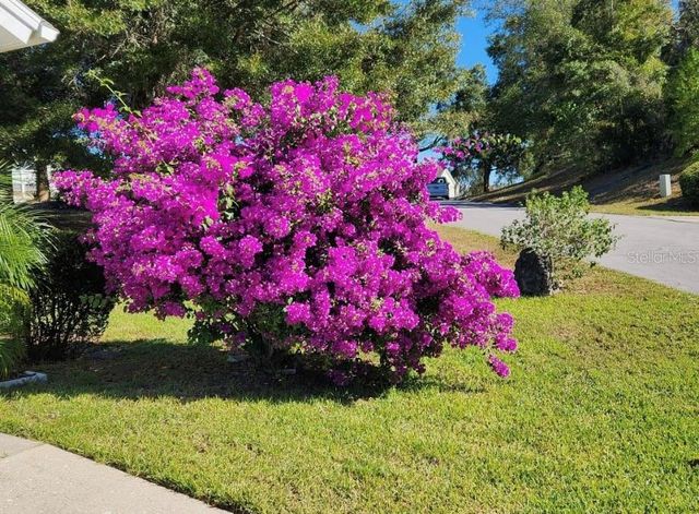 8769 SW 108TH STREET, Ocala, FL 34481