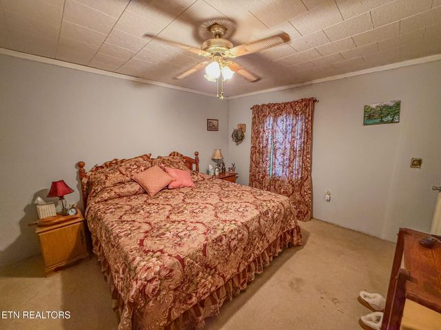 1591 Big Ridge Rd, Spring City, TN 37381