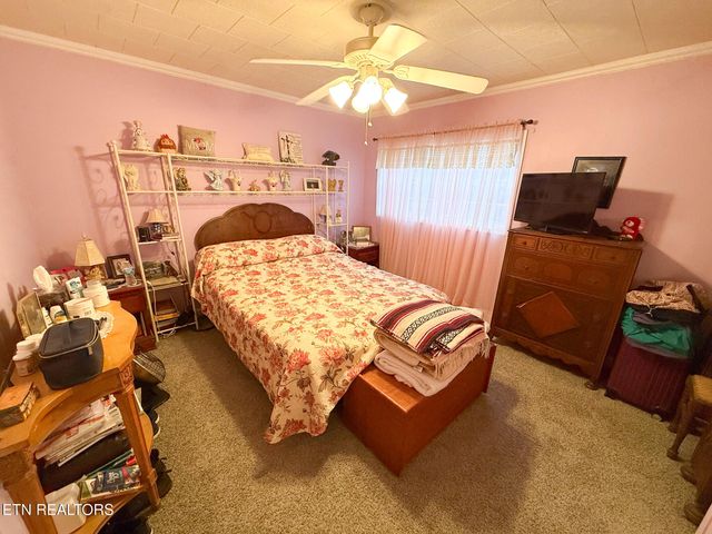 1591 Big Ridge Rd, Spring City, TN 37381