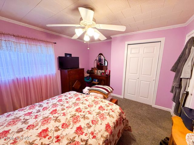 1591 Big Ridge Rd, Spring City, TN 37381