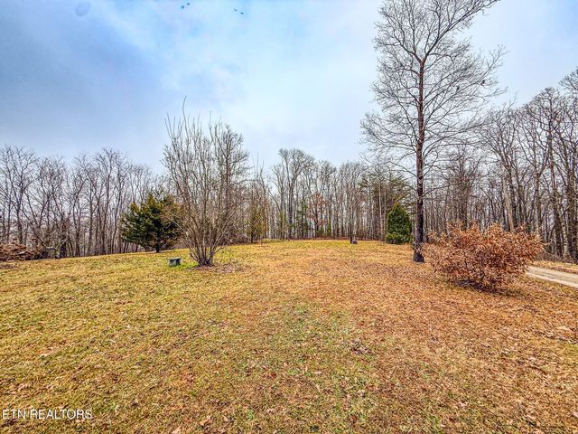1591 Big Ridge Rd, Spring City, TN 37381