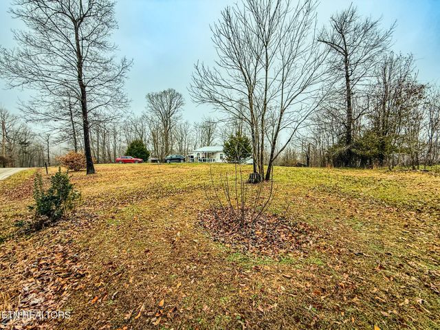 1591 Big Ridge Rd, Spring City, TN 37381