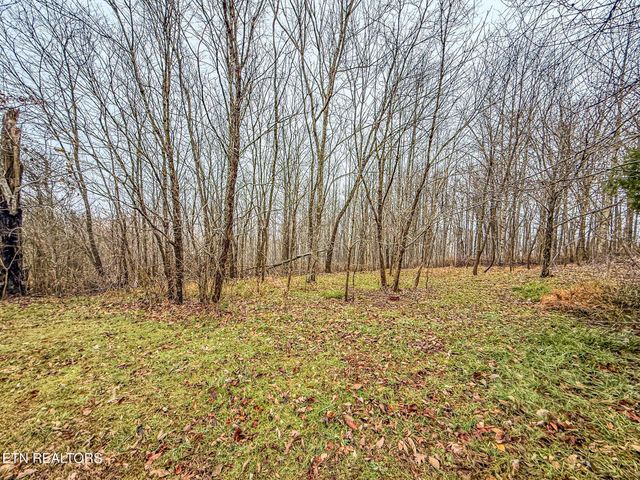 1591 Big Ridge Rd, Spring City, TN 37381