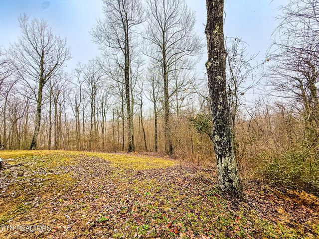 1591 Big Ridge Rd, Spring City, TN 37381