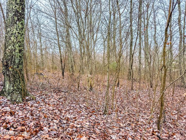 1591 Big Ridge Rd, Spring City, TN 37381