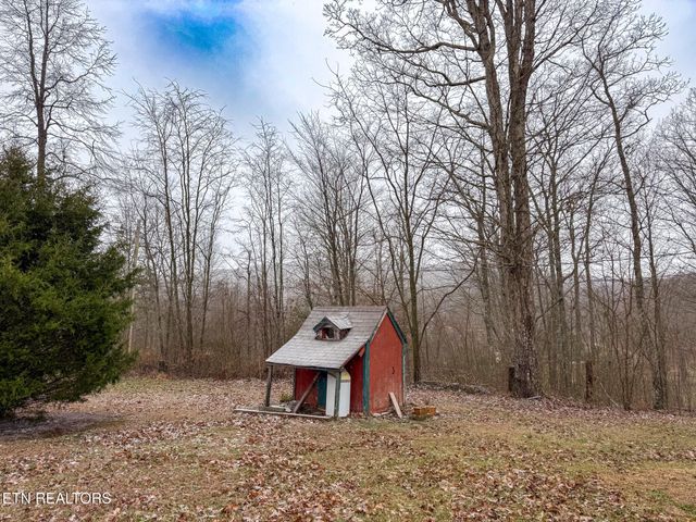 1591 Big Ridge Rd, Spring City, TN 37381