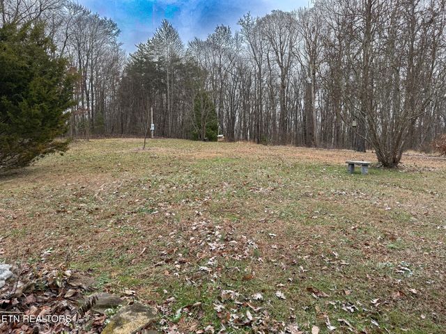 1591 Big Ridge Rd, Spring City, TN 37381