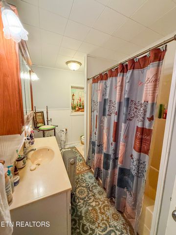 1591 Big Ridge Rd, Spring City, TN 37381