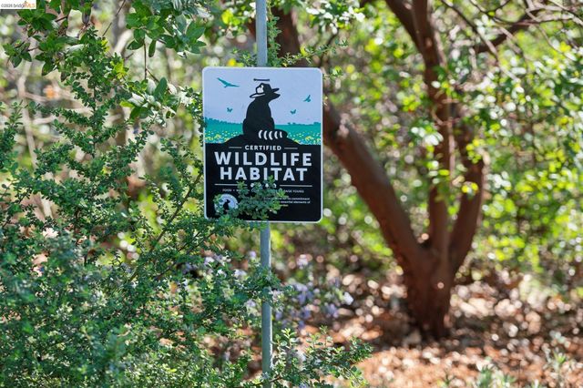 890 Keeler Ave, Berkeley, CA 94708