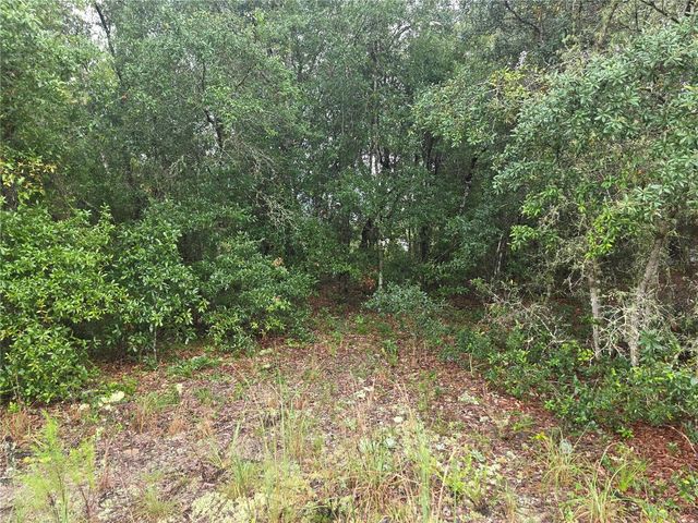 Lot 16 SW MARINE BOULEVARD, Dunnellon, FL 34431