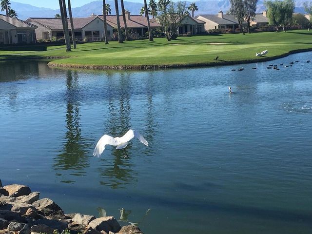 78292 Kensington Avenue, Palm Desert, CA 92211