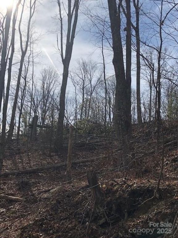 000 Marshall Ridge Road 78, Hendersonville, NC 28792