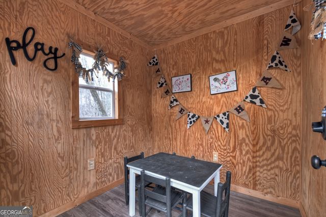 764 Ducktown Lane, Ellijay, GA 30540