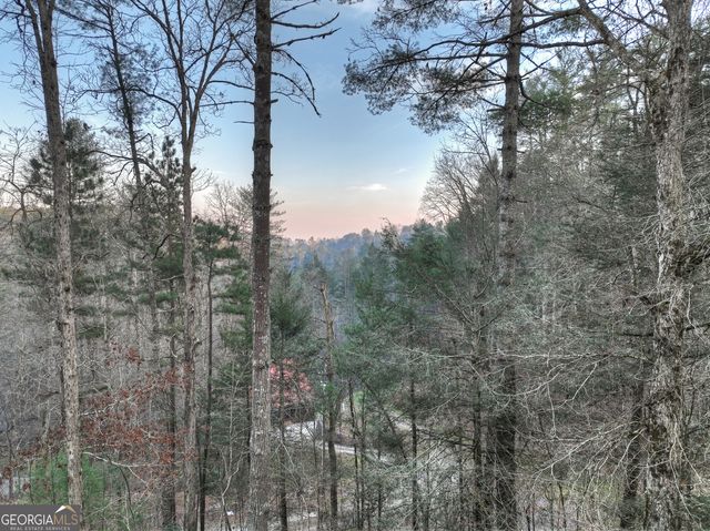 764 Ducktown Lane, Ellijay, GA 30540