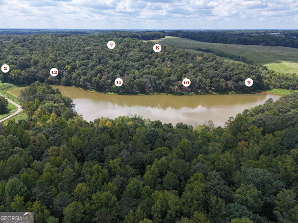 0 Sanford Oak Court TRACT 12, Nicholson, GA 30565 — photo 4