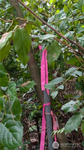 30904 M Place, Ocean Park, WA 98640