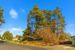 30904 M Place, Ocean Park, WA 98640