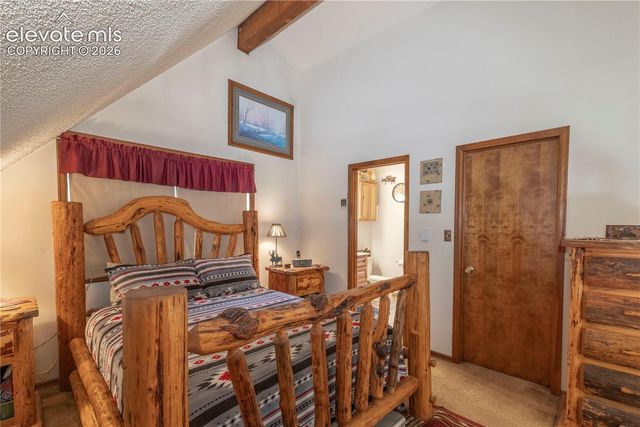 187 Arrowrock Circle, Florissant, CO 80816